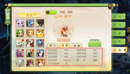 深入探讨：《蜀境传说》中的最强宠物选析，哪个宠物能助你称霸江湖？