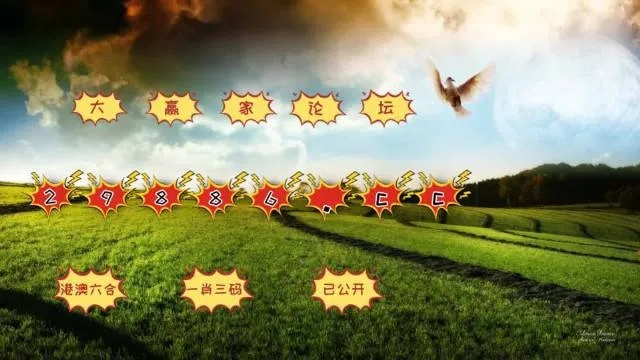 王中王免费资料大全一一|综合解答解释落实_超清版GM.2.671