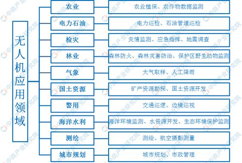 2020全年资料大全正版最快开|可靠解答解释落实_超清版SSIP.0.621