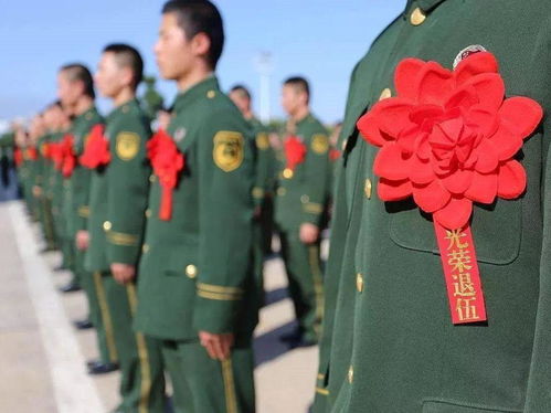 2024澳门特马今晚开网站|未来趋势与机遇解析_D.3.280
